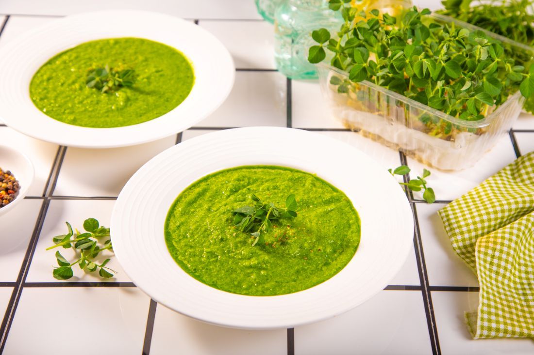 Frische grüne Gazpacho-Suppe mit Kräutern und Mikrogrün auf dem Teller