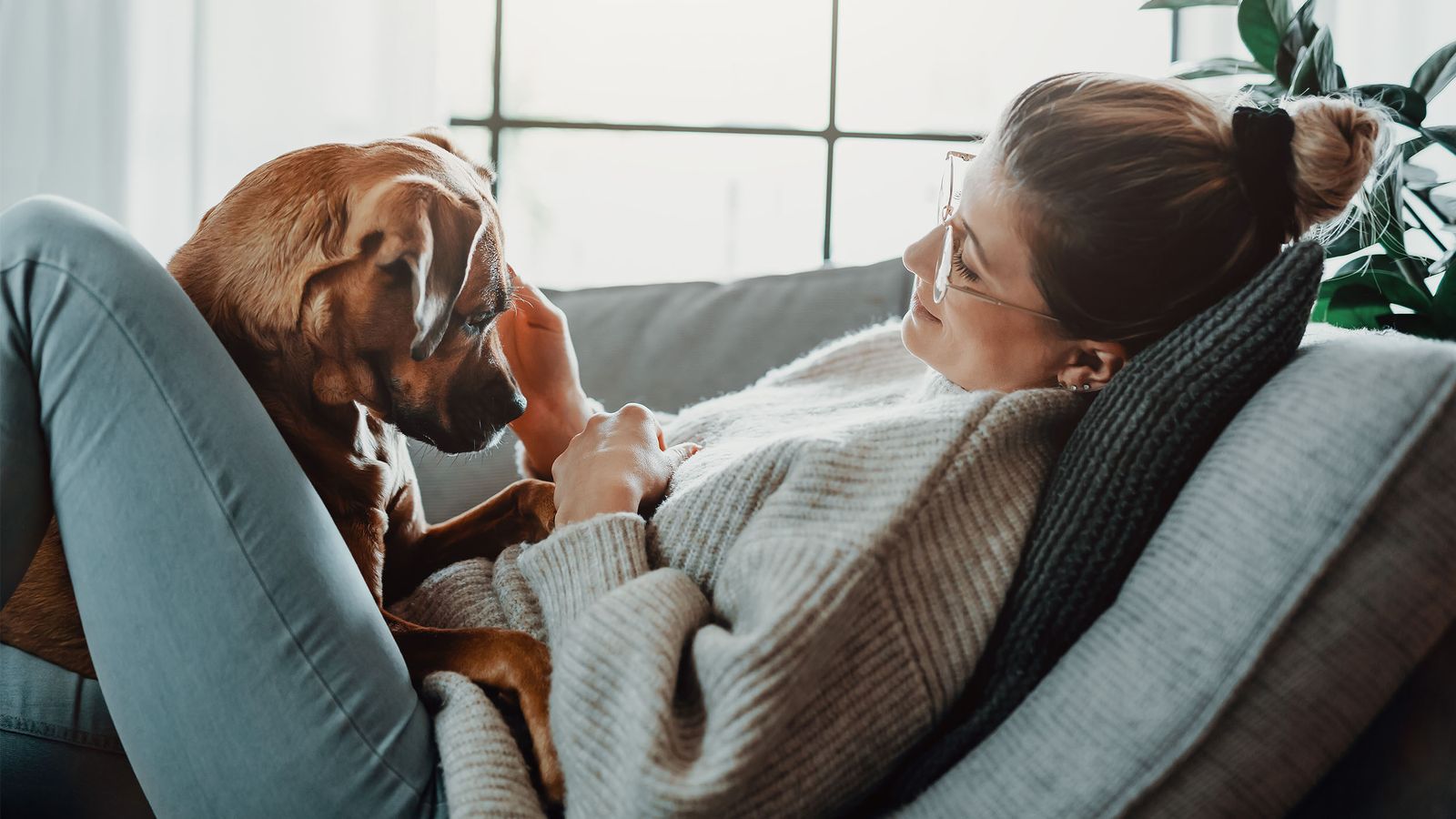 Natürliche Arthrose-Therapie für Hund & Mensch