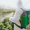 Pestizide werden gespritzt