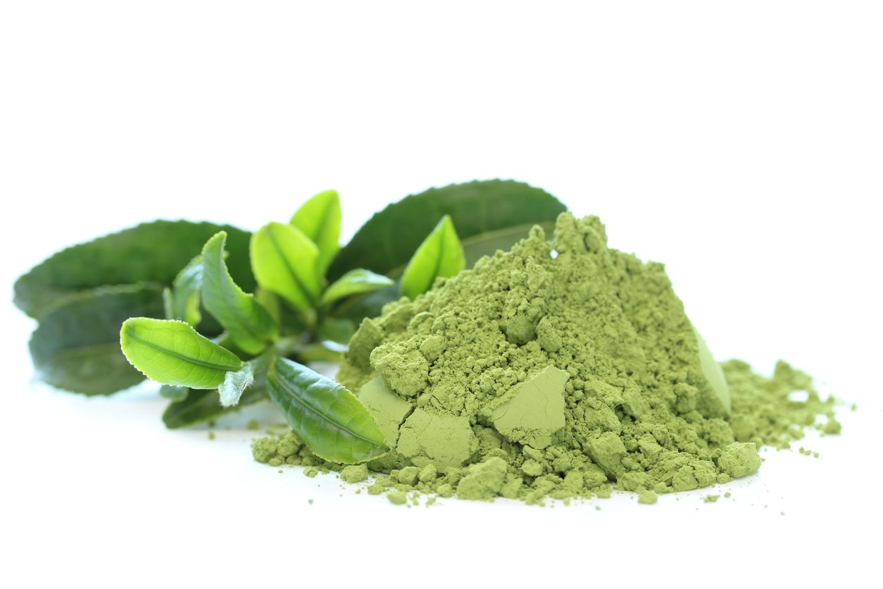 Matcha Pulver und Teepflanze