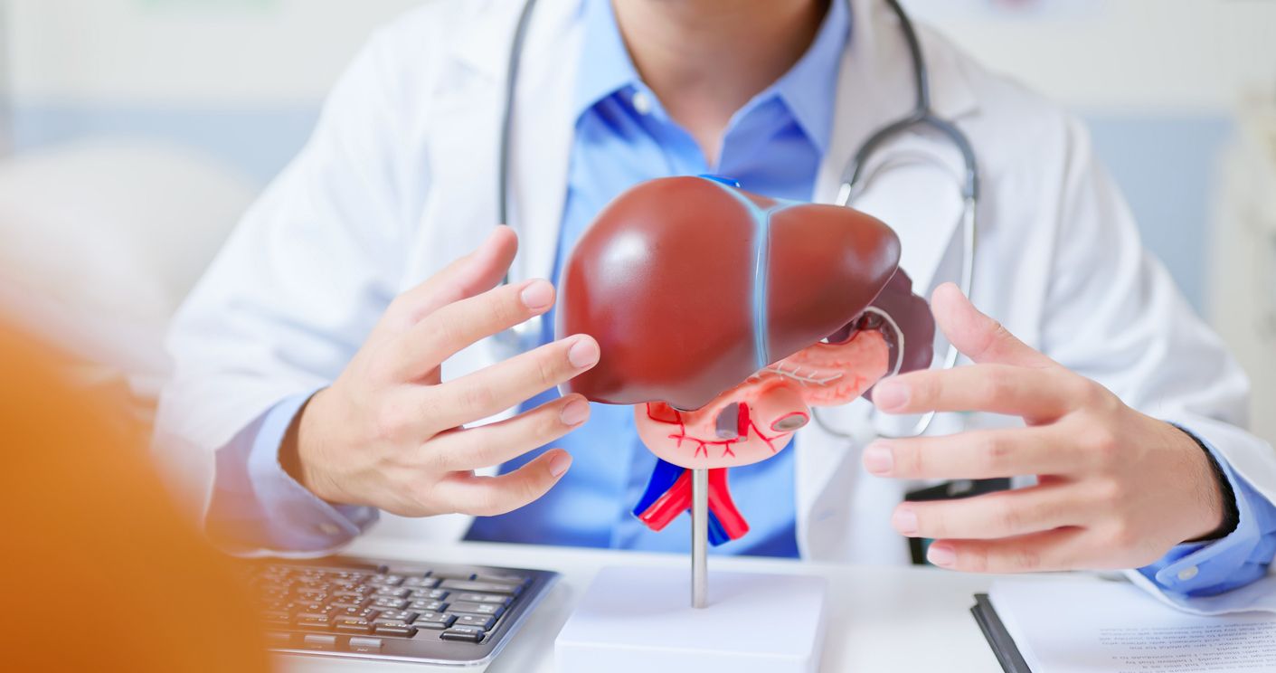 Arzt, der den Gesundheitszustand der Leber erklärt