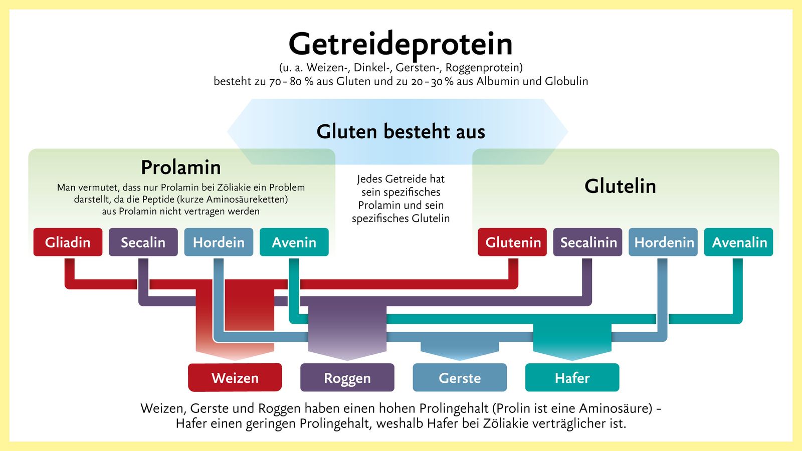 Grafik Getreideproteine