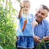Kind erntet eine selbst angebaute Karotte