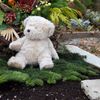 Teddybär auf dem Grab eines Kindes