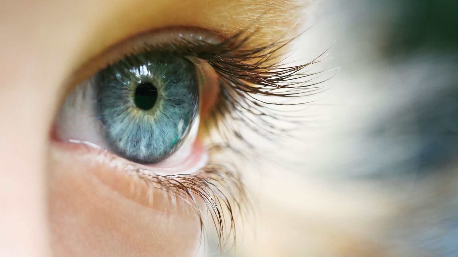 Eine Auge, das wachsam ist