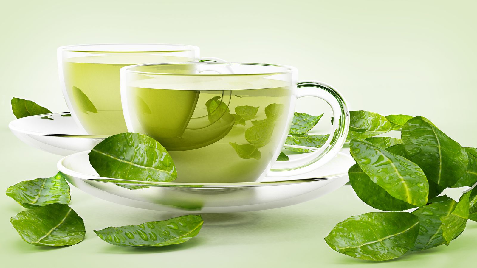 Grüner Tee Arteriosklerose