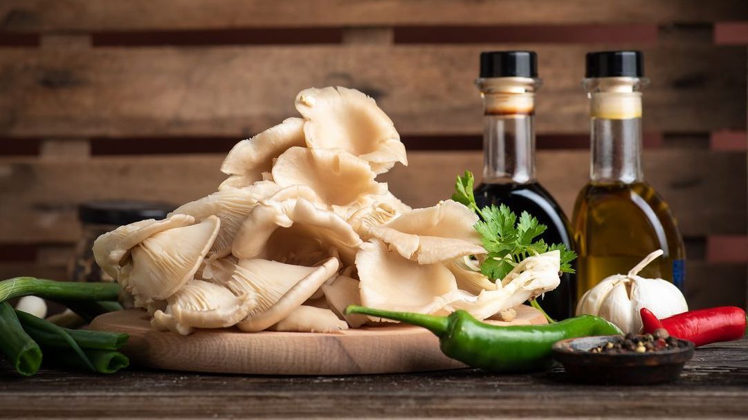 Pleurotus ostreatus oder häufig die Austernpilze