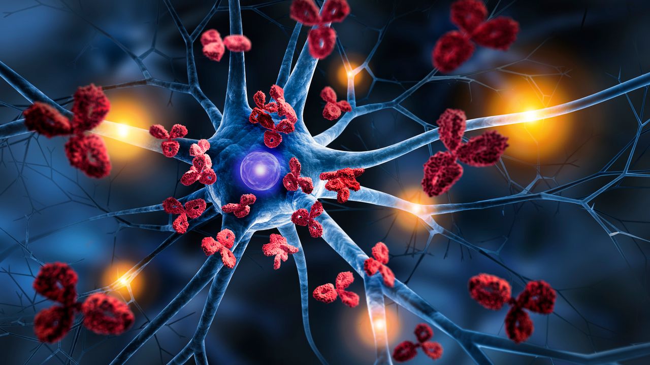 glutathion autoimmunerkrankungen L-Glutathion  Robert Franz Shop Heimatort Autoimmunerkrankungen  Die groe Liste