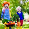 Kinder ernten Gemüse