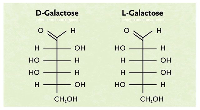 Grafik von D-Galactose und L-Galactose