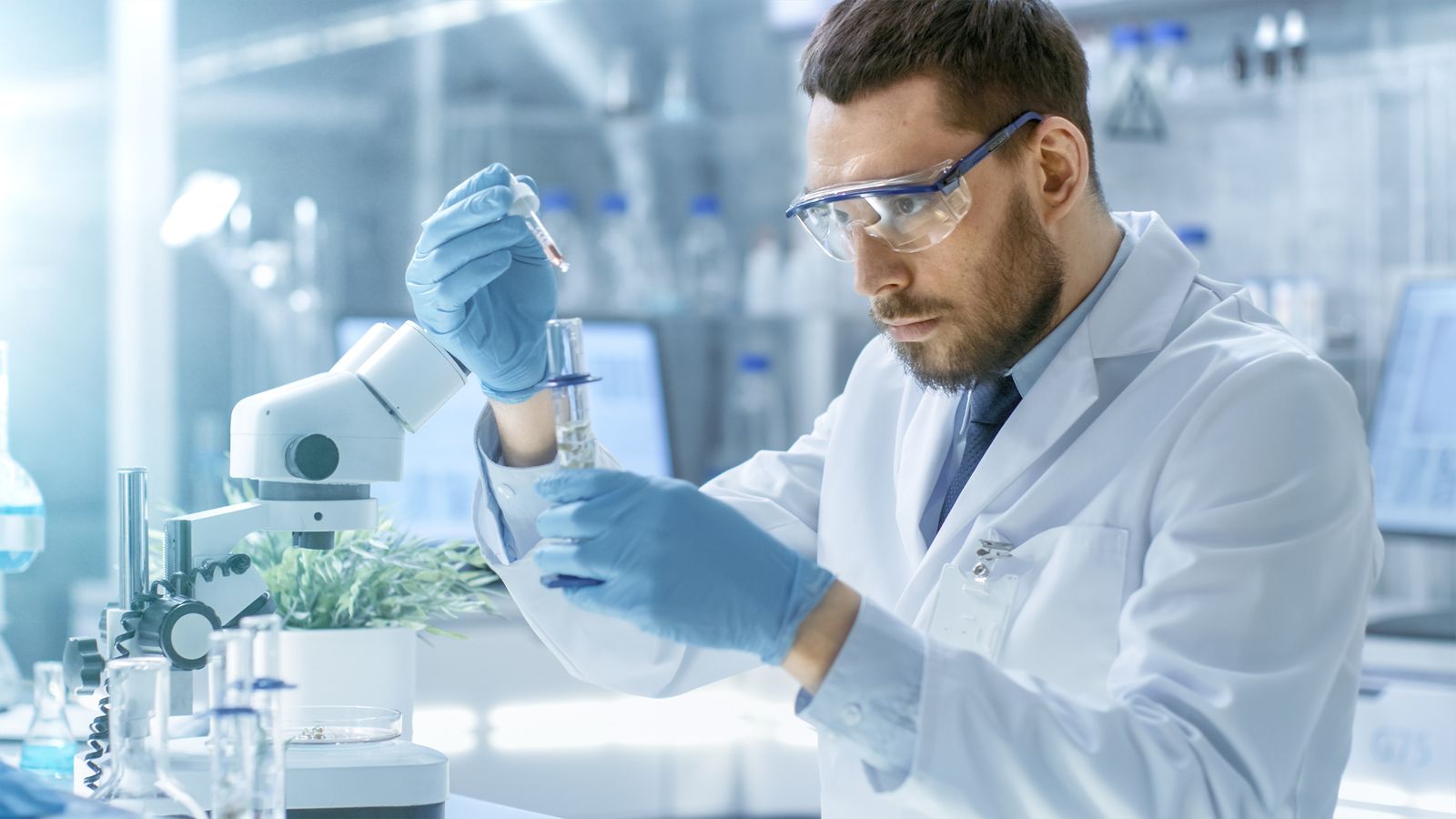 Wissenschaftler untersucht Pflanzen