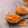 Getrockneter Cordyceps militaris Pilz