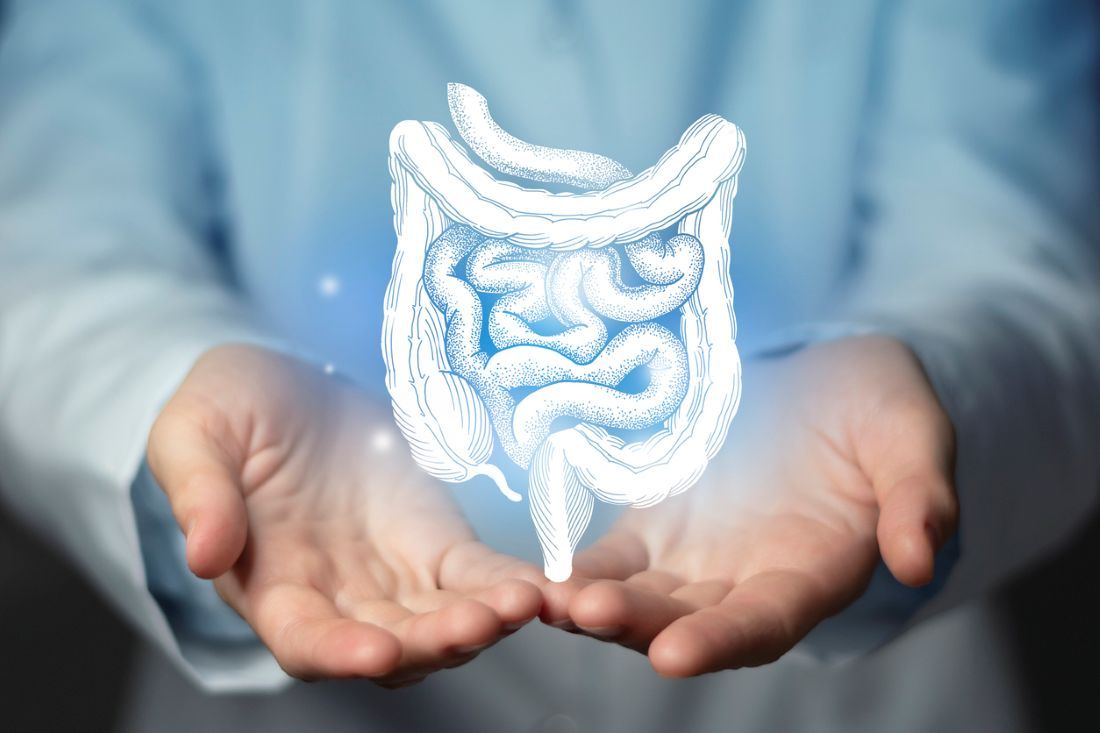 Gastroenterologe Arzt, Darmspezialist. Ästhetische Illustration des menschlichen Darms
