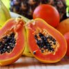 Die Rangliste unserer Top Kerne papaya