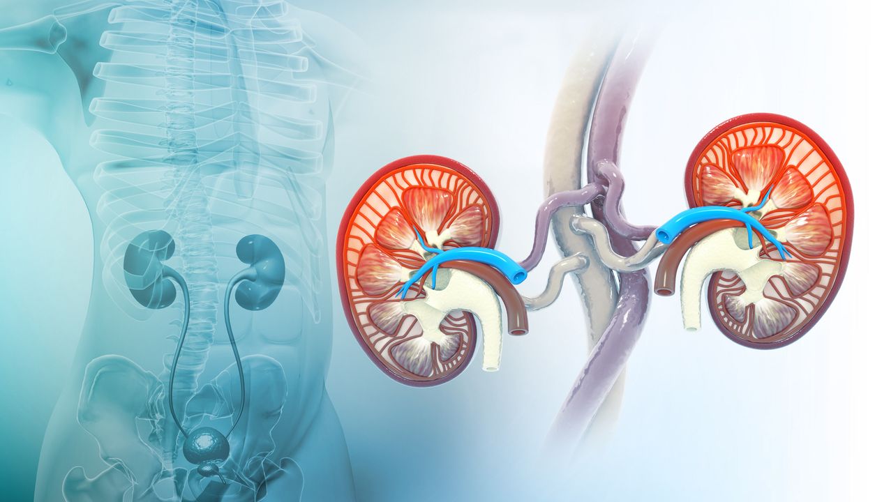 www.zentrum-der-gesundheit.de