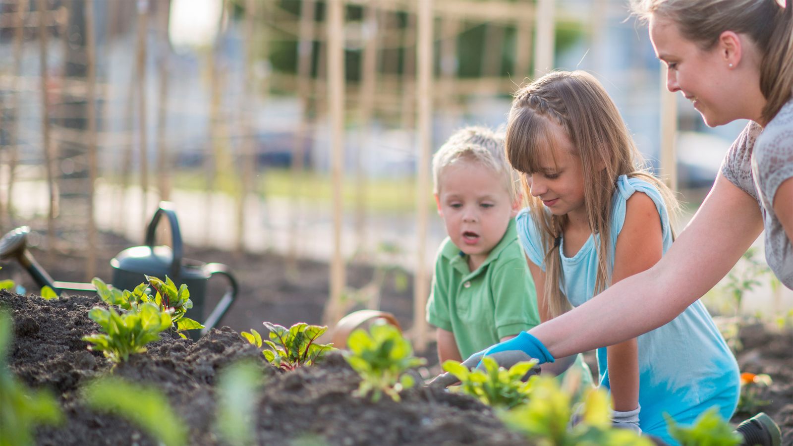 Kinder legen einen Bio-Garten an