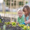 Kinder legen einen Bio-Garten an