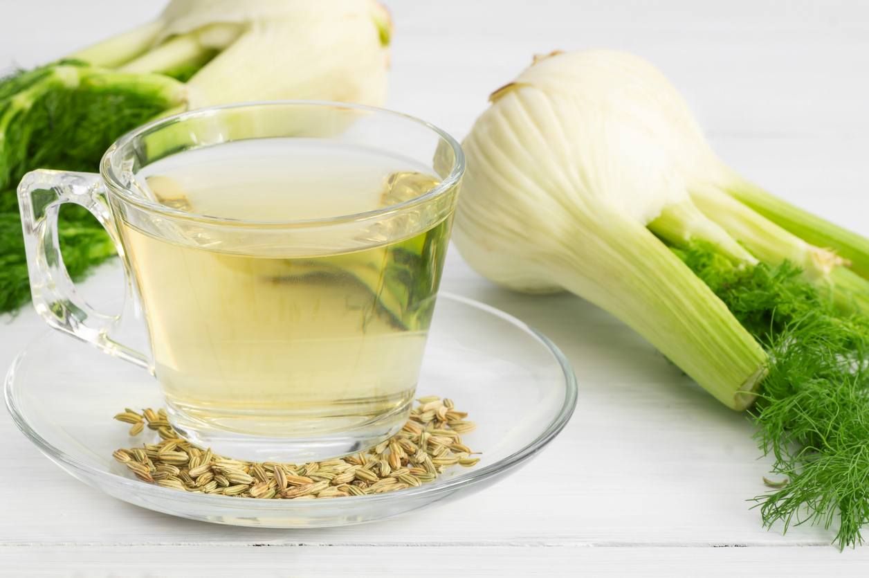 Fenchel-Tee in Glastasse oder Becher mit getrockneten Fenchelsamen und Fenchelzwiebeln.