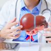 Arzt, der den Gesundheitszustand der Leber erklärt