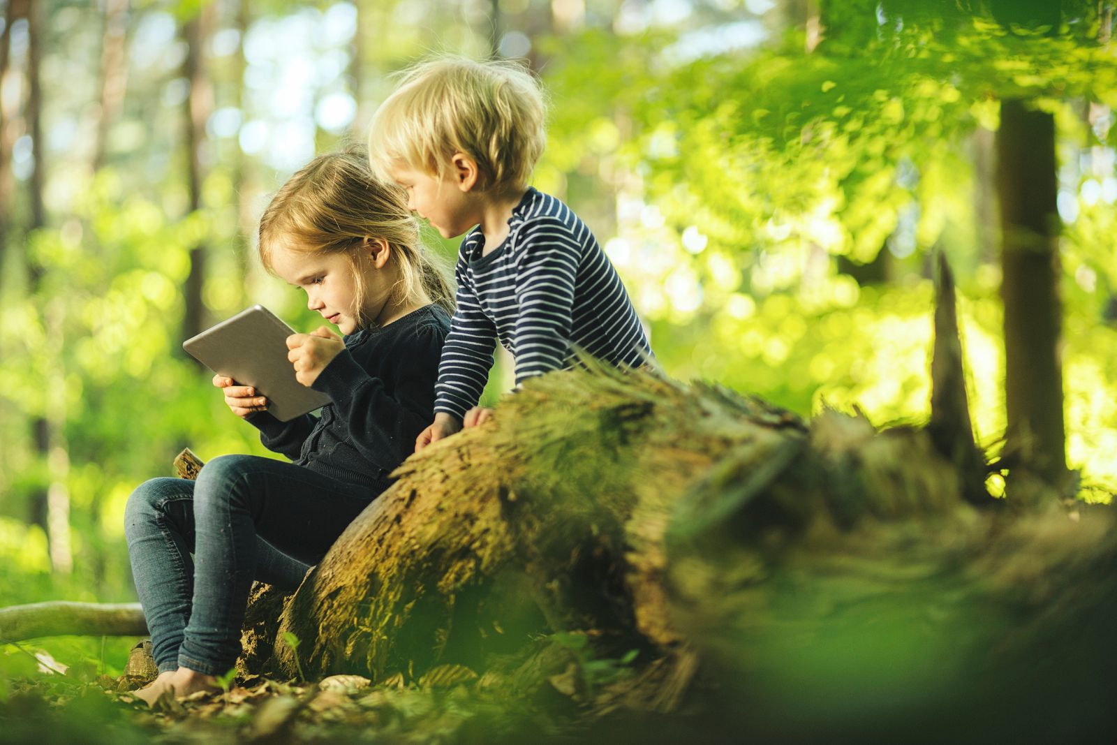 Filme in der Natur über die Natur