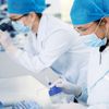 Wissenschaftler führen Untersuchungen durch