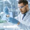 Wissenschaftler untersucht Pflanzen