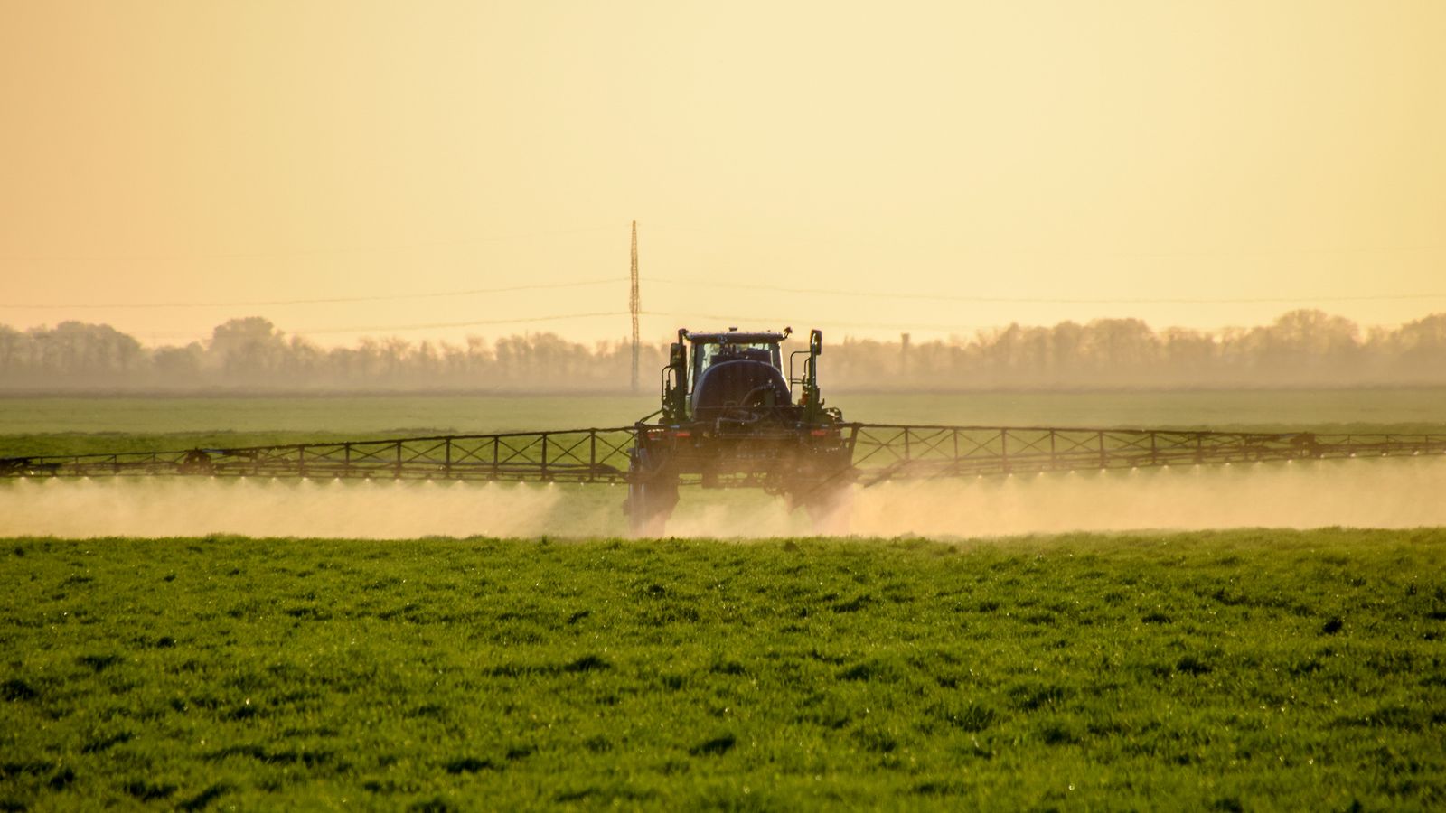 Glyphosat wird auf ein Feld gesprüht