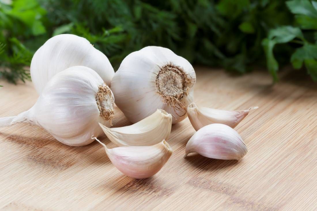 Knoblauch-Knolle und Knoblauch-Zehen