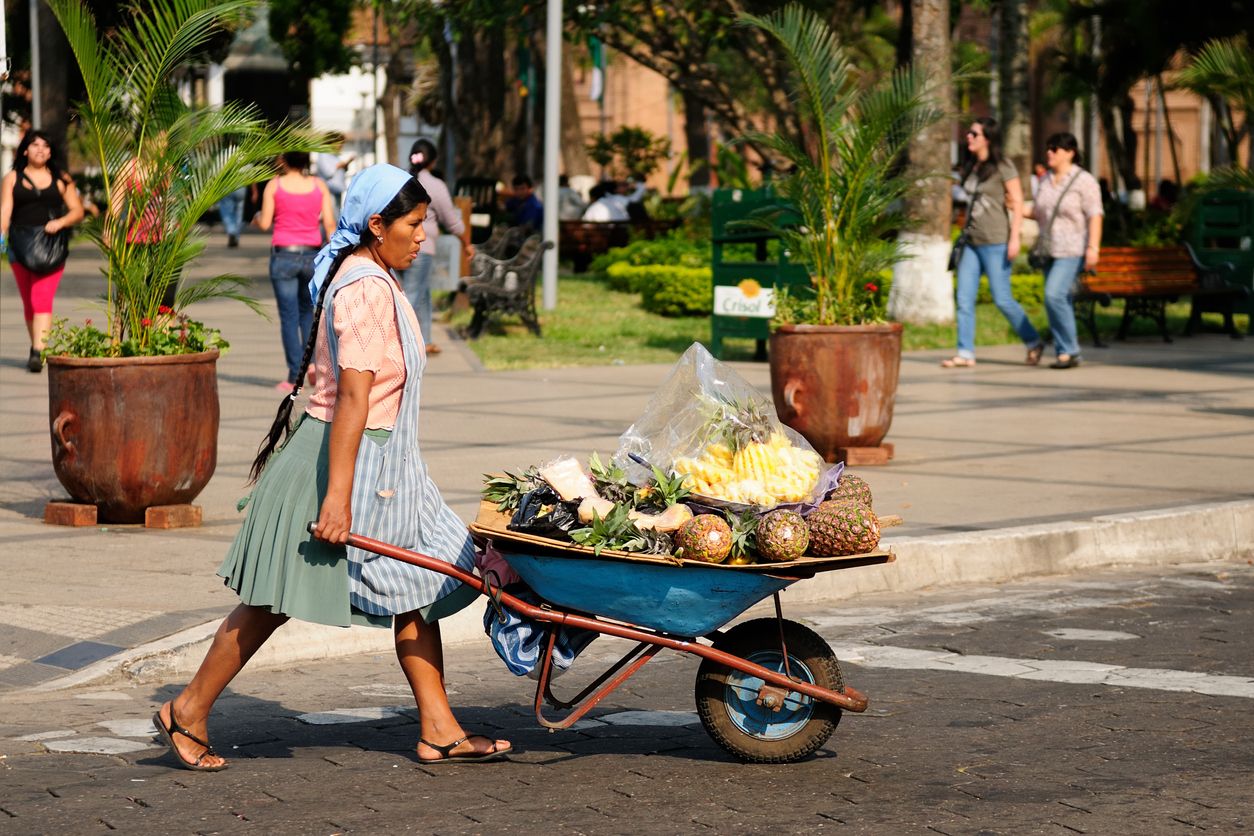 Frau fährt Lebensmittel in einer Schubkarre