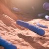 Lactobacillus bulgaricus Probiotic - 3D-mikroskopische Ansicht gesunder Darmbakterienzellen