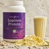 Lupinenprotein – Das basische Protein