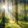 Die Natur zeigt sich von ihrer schönsten Seite