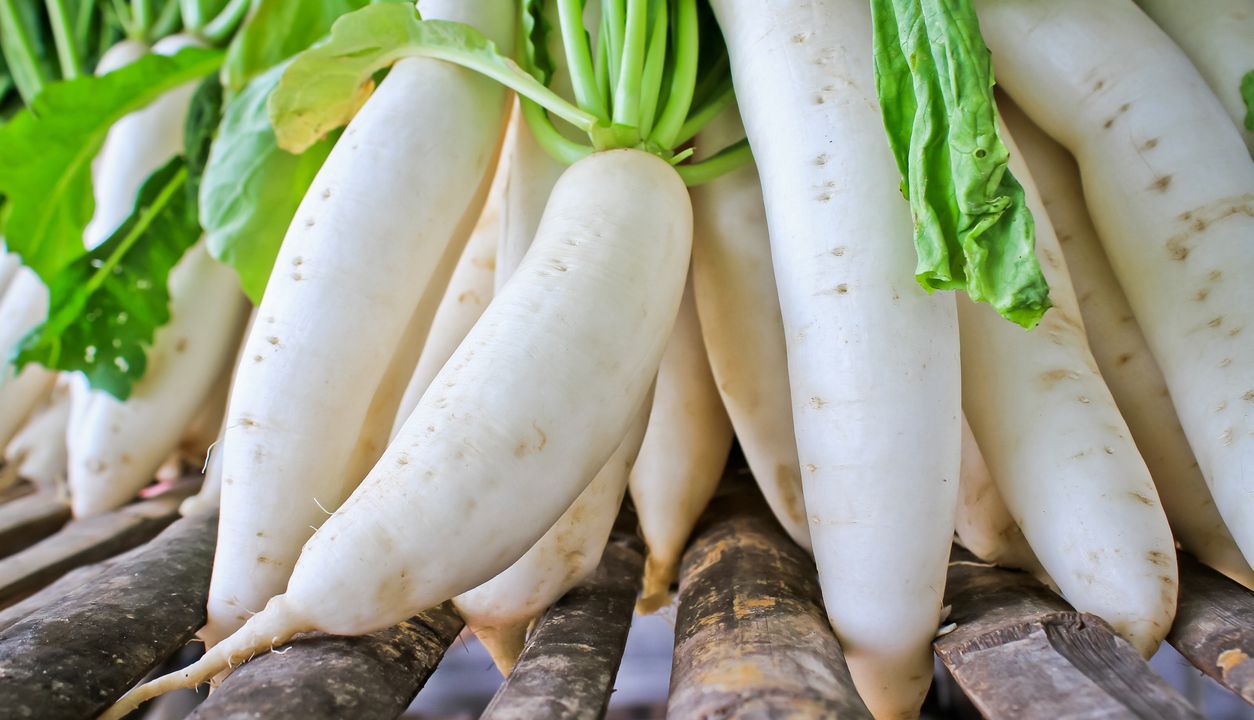 Rettich gesund: Wirkung, Inhaltsstoffe und Vorteile