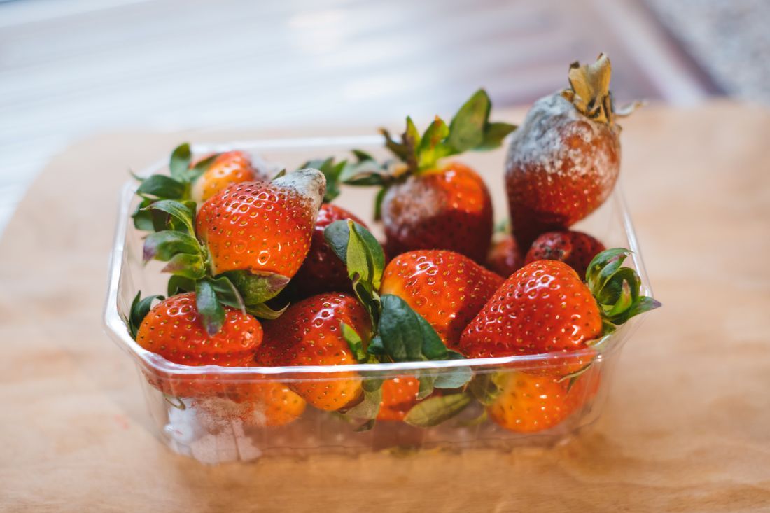 Schimmelige Erdbeeren in Kunststoff-Box