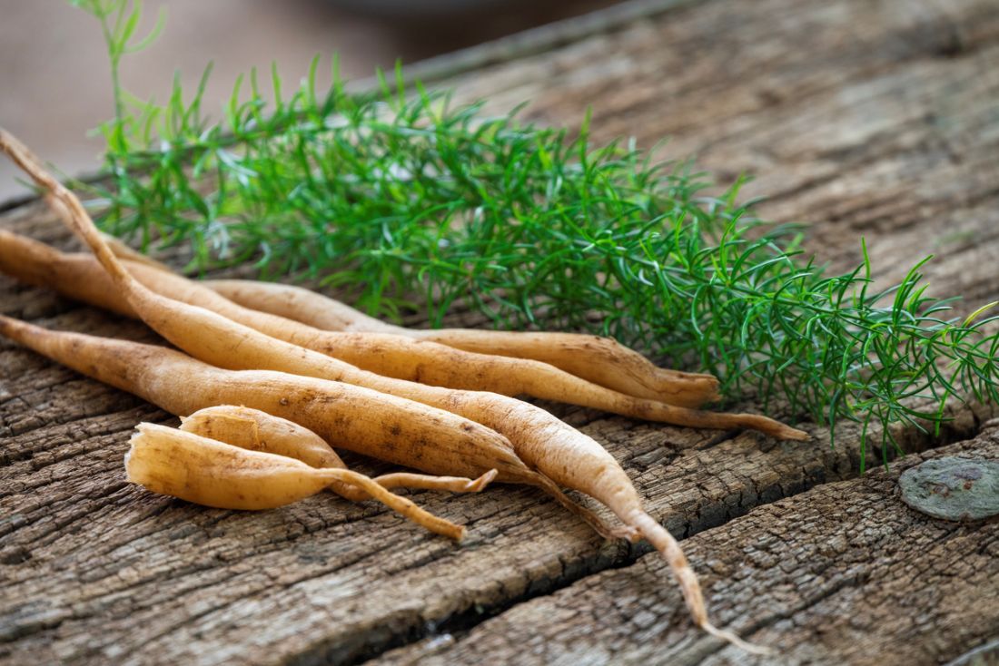 Shatavari oder Asparagus racemosus Wurzeln auf hölzernem Hintergrund