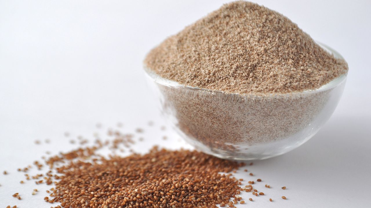 Teff Samen Anleitung , How to Grow Teff Grass: A Step-by-Step Guide ...