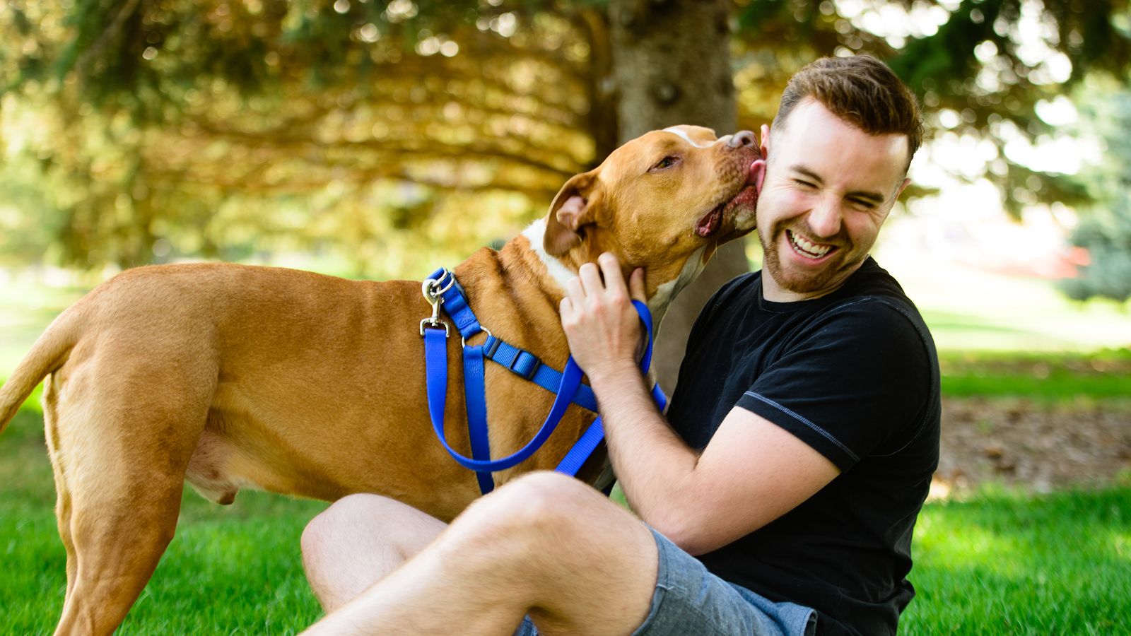 Hund leckt das Gesicht seines Herrchen ab
