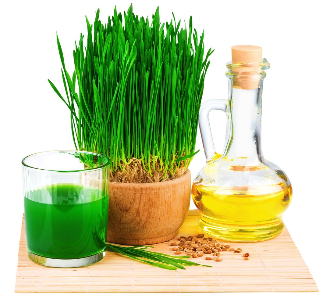 Weizengrassaft mit gekeimtem Weizen und Weizenkeimöl auf der Matte