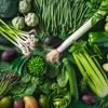 Vitamin K in grünem Gemüse