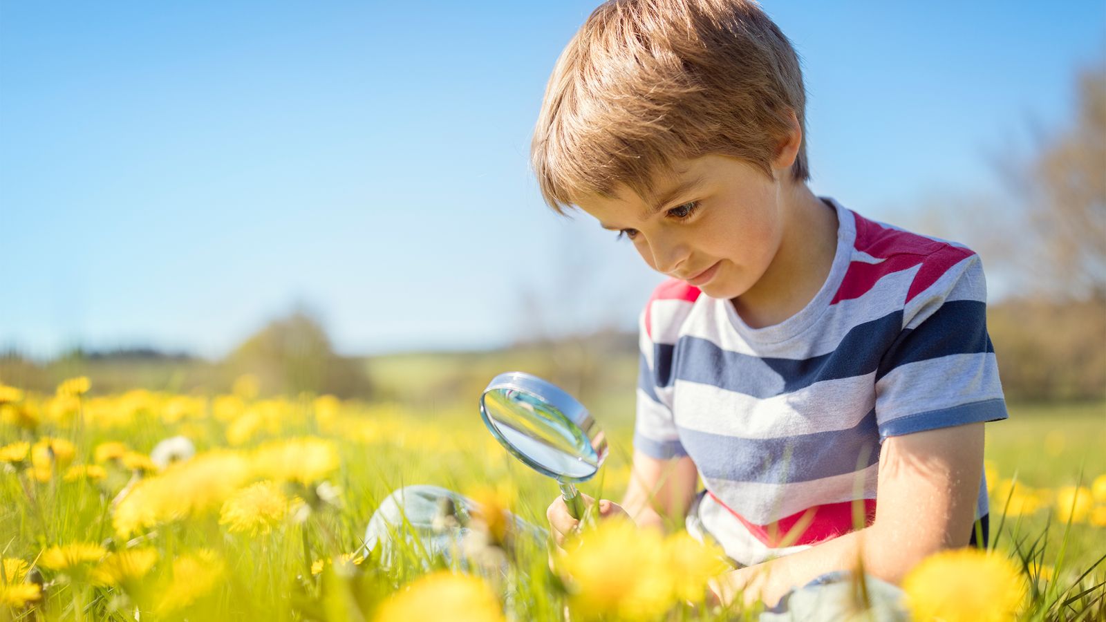Kind betrachtet Blumen